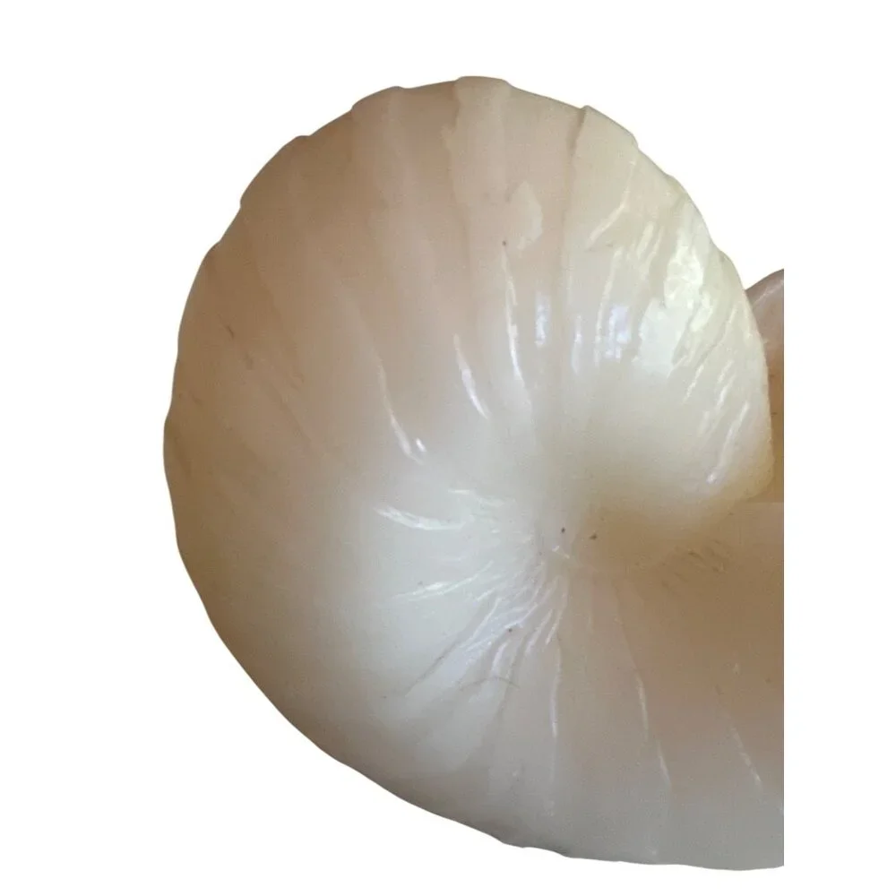 Large Nautilus Shell Shaped Candle By Austin Sculptures‎
